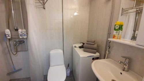a small bathroom with a toilet and a sink at Hamina Orange Apartments Kadetti 2 in Hamina
