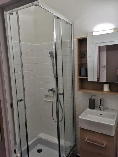 une salle de bain avec douche et lavabo dans l'établissement appartement T2 sur le port, à La Ciotat