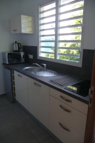 a kitchen counter with a sink and a window at Douceurs Caraïbes, Gîte Balisier. in Bouillante