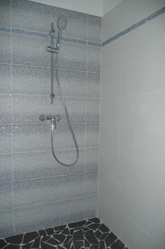 une douche avec pommeau de douche dans une salle de bain dans l'établissement Douceurs Caraïbes, Gîte Coco., à Bouillante