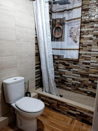 a bathroom with a toilet and a shower at ATICO Loli in Berga