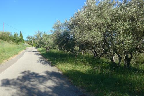 La Colline Bleue – Photos 4