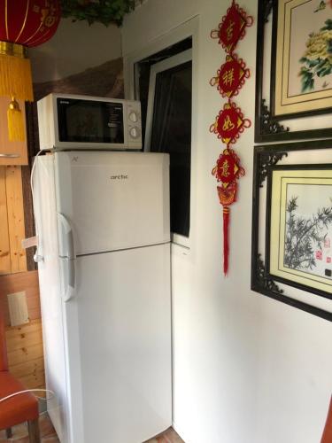a white refrigerator with a microwave on top of it at Casa Beijing in Braşov