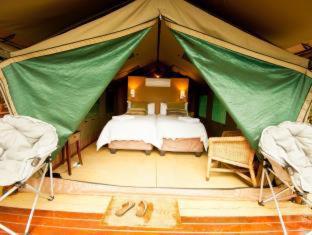 a room with a bed in a green tent at Amafu Forest Lodge in Hoedspruit