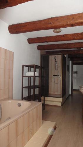 a bathroom with a bath tub and a shower at Gite d'Audrey et Jean in Uttenheim