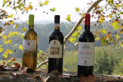 three bottles of wine sitting on a ledge at Fattoria di Mugnano in Colle Val D'Elsa