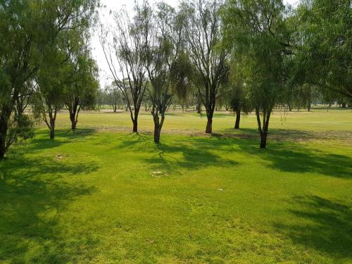 a grassy area with trees and trees at cluBarham Golf Resort in Barham
