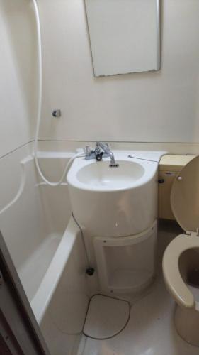 a bathroom with a sink and a toilet and a mirror at Cherry Blossom Koseicho in Okayama