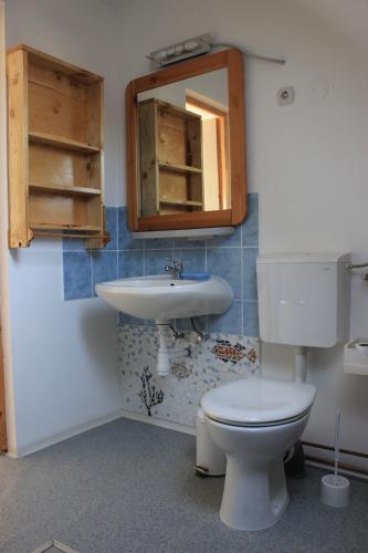 a bathroom with a toilet and a sink and a mirror at A Kert Apartman in Rezi