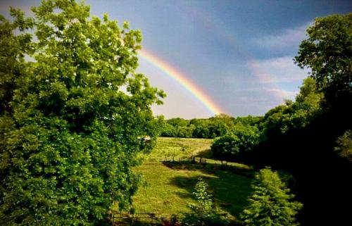 een regenboog in de lucht boven een veld met bomen bij WINNIE'S BED & BREAKFAST in Lawrenceburg
