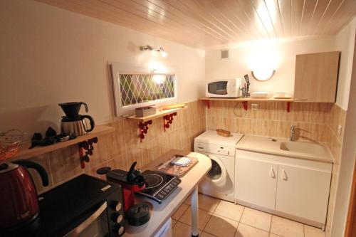małą kuchnię z pralką i zlewem w obiekcie Le Domaine des Tuillieres w mieście Masléon