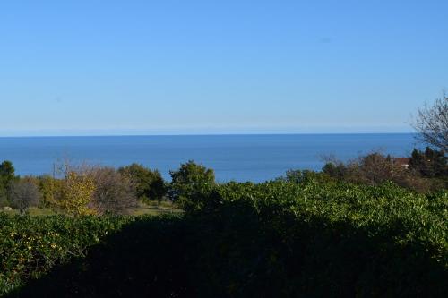 a view of a field with the ocean in the background at Villa Manu in Lapedona