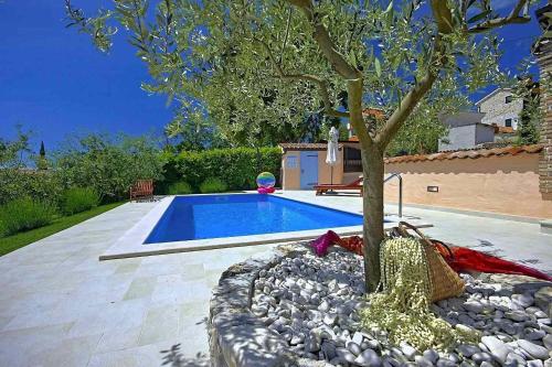 Villa Olga – Photos 5