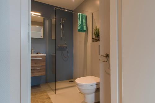 uma casa de banho com um WC e um chuveiro em JOINN! City Lofts Houten Utrecht em Houten