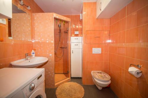 ein Bad mit einer Dusche, einem WC und einem Waschbecken in der Unterkunft Clara Ljubljana Apartment in Ljubljana