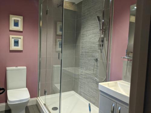 a bathroom with a shower and a toilet and a sink at Fell View, Slaggyford in Brampton