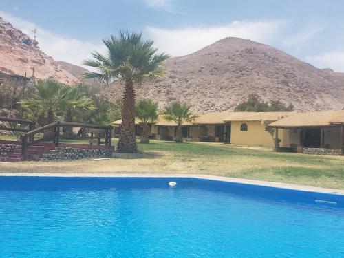 une maison avec un palmier et une piscine dans l'établissement Aruma Codpa, à Codpa