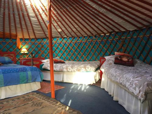 a bedroom with two beds in a yurt at Inch Hideaway Eco Camping in Whitegate