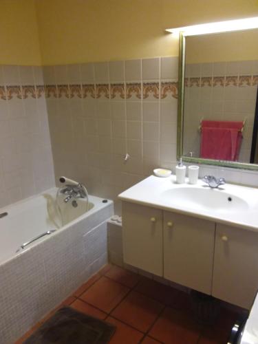 une salle de bain avec un lavabo, une baignoire et un miroir dans l'établissement Studio Vue mer Haut de villa anse des rochers, à Saint-François