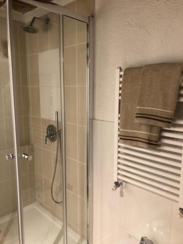a bathroom with a shower and a glass shower stall at Chalet Morge in La Salle