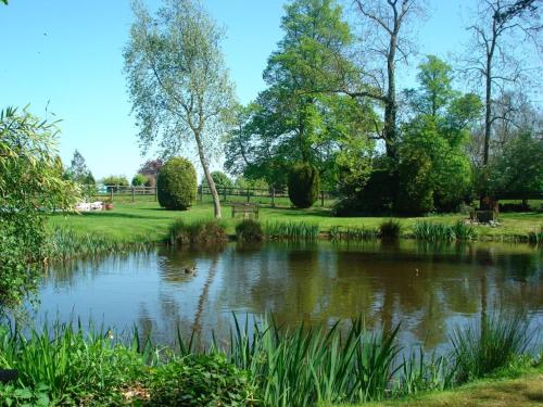 a pond in a park with trees and grass at Cobblestones in Benington