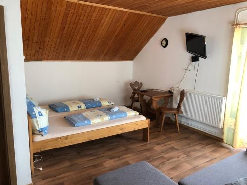 Pokój z dwoma łóżkami i telewizorem w obiekcie Penzion U Larvů w mieście Železná Ruda