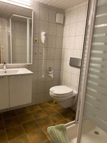 a bathroom with a toilet and a sink and a shower at Ferienwohnungen Elsterblick Bad Elster in Bad Elster