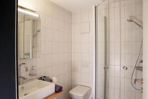 a bathroom with a shower and a sink and a toilet at Mountain Deluxe in Bartholomäberg