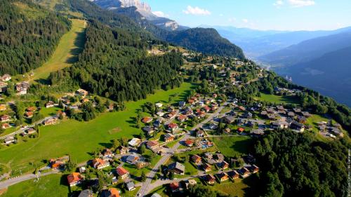 - une vue aérienne sur un village dans les montagnes dans l'établissement EA031 - Studette proche centre des Carroz, aux Carroz d'Arâches