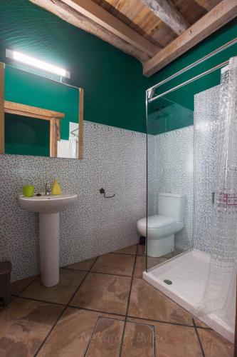 a bathroom with a shower and a toilet and a sink at Arkaitza in Berrobi