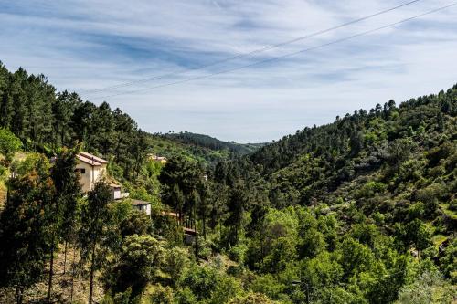 a house on a hill in the middle of a forest at Casa da Passagem in Vila Real