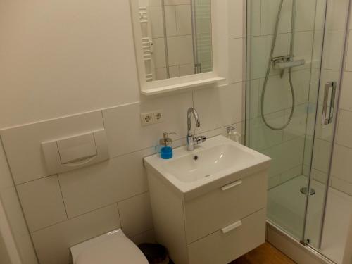 Koupelna v ubytování Altstadt Apartment Erfurt