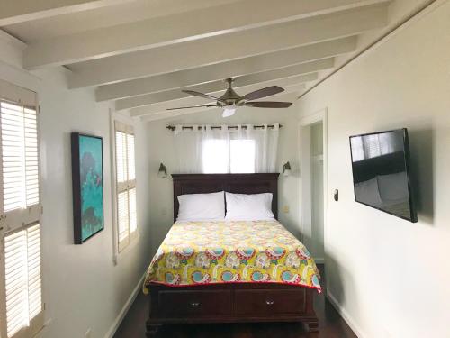 a bedroom with a bed and a ceiling fan at Sugar Apple Bed and Breakfast in Christiansted