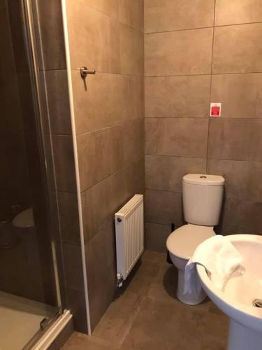a bathroom with a toilet and a sink at Balmaha Lodges and Apartments in Balmaha