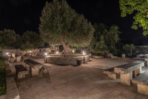 a park with benches and a tree at night at Masseria Cinti in Bagnolo del Salento
