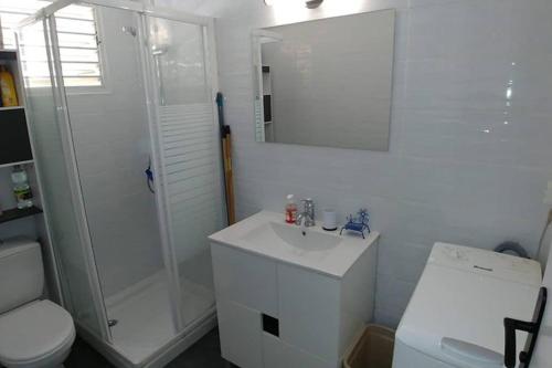 a bathroom with a shower and a sink and a toilet at AnseMitan beach studio,Clim,wifi, 200mplage 3îlets in Les Trois-Îlets