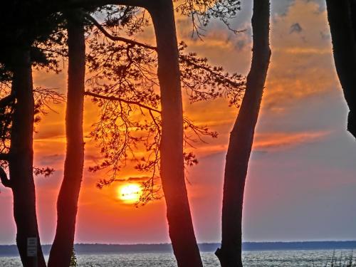 a sunset over the water with trees in the foreground at Restaurant & Hotel Baumhaus Hagen in Sassnitz