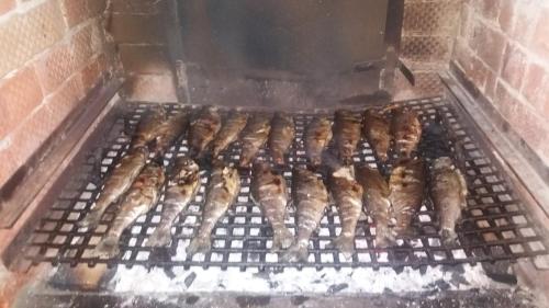 Εγκαταστάσεις μπάρμπεκιου για όλους τους επισκέπτες του ξενώνα