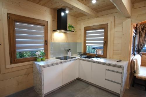 cocina con fregadero y 2 ventanas en Domek & Apartament Na Ogrodzie en Suche