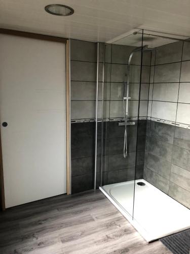 une salle de bain avec une douche avec une porte vitrée dans l'établissement Gîte de l'Est 1, à Colmar
