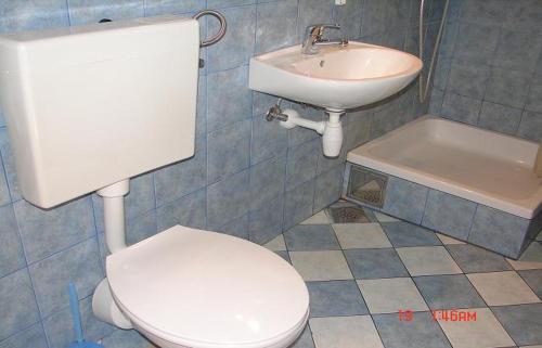 La salle de bains est pourvue de toilettes et d'un lavabo. dans l'établissement Apartments Dijana - economy apartments, à Sveta Nedelja