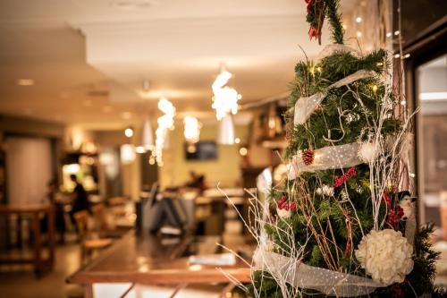 a christmas tree in the middle of a room at Hostal Crisami in Solsona