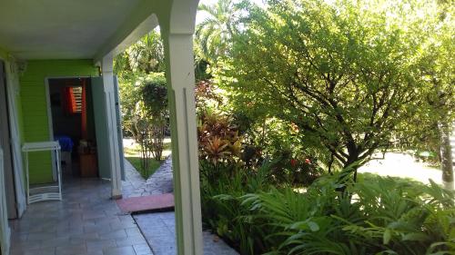 an open door to a house with a tree at Le Jardin de Massieux in Bouillante
