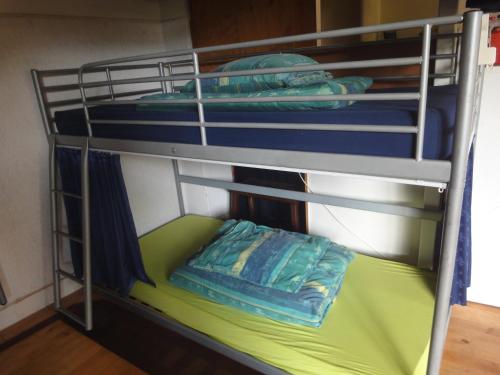 een stapelbed met een kussen op het onderste bed bij Frank's Backpackers in Helmond