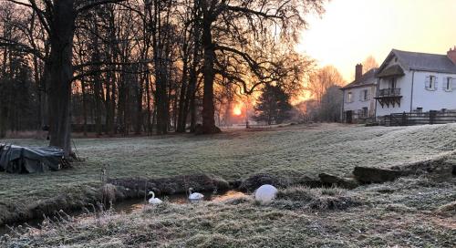 a group of ducks swimming in a river in a field at Domaine du Plessis in Le Plessis-Luzarches