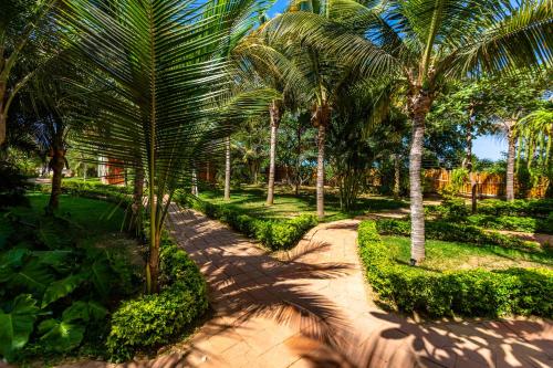 a garden with palm trees and a walkway at Hotel Punta Camarón Bungalows & Suites in Zorritos
