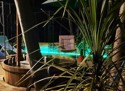 una piscina con una silla y una planta en Cabañas Rucalhue salto del laja, en Cabrero