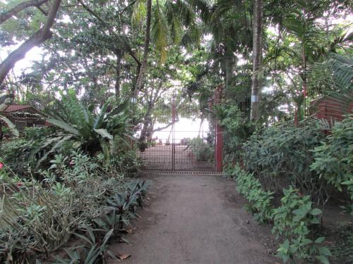 a gate in a garden with trees and plants at Felipa Beach and Guesthouse - Newly Renovated Airconditioned Guest Rooms in Dumaguete