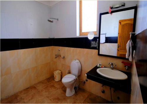 La salle de bains est pourvue de toilettes, d'un lavabo et d'un miroir. dans l'établissement Hotel Royal Palace - Leh, à Leh