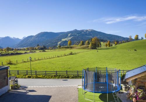a view of a green field with a basketball hoop at Appartement Oberreiter in Flachau